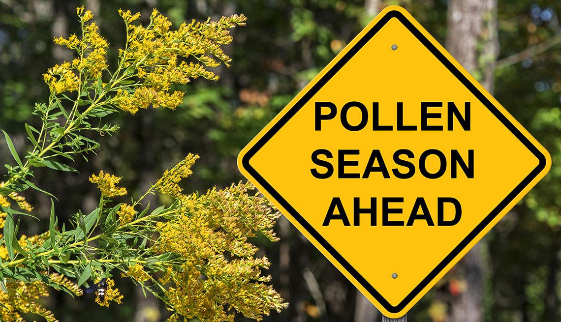 Pollen Season.jpg